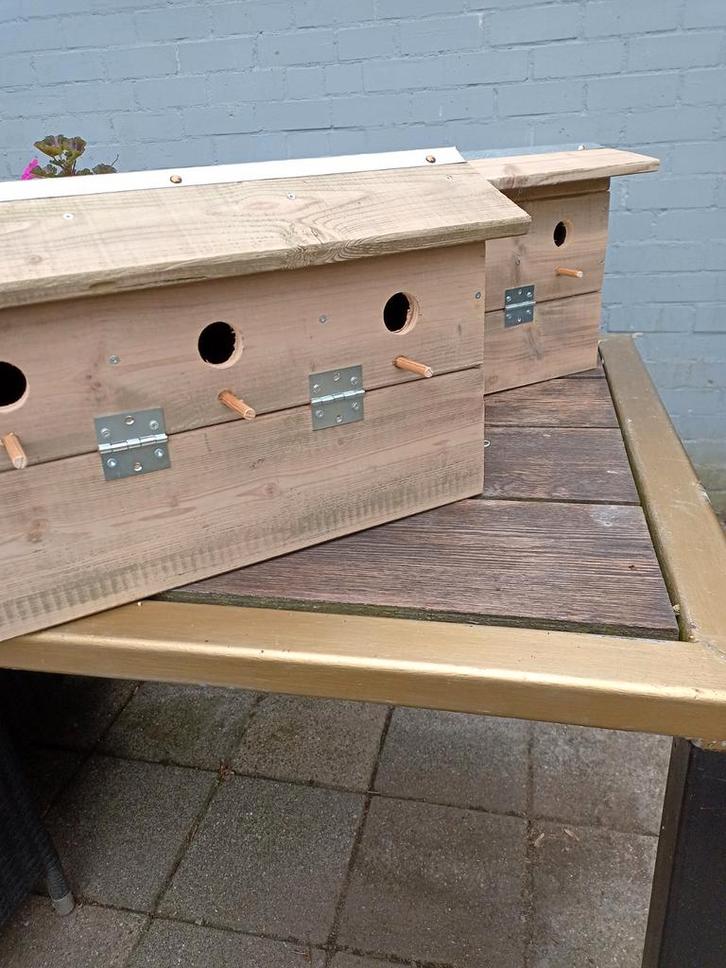 Mussenhotel 🐦‍⬛🐦🐦‍⬛, Tuin en Terras, Vogelhuisjes en Vogelbaden, Nieuw, Ophalen of Verzenden