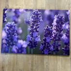 Canvas print lavendel – 120x80 cm, Oorspronkelijke maker, Nieuw, Ophalen of Verzenden, Print
