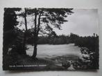 L46 Gasselte - Kampeerterrein Zon en Vrijheid - 1962, Verzenden, 1960 tot 1980, Gelopen, Drenthe