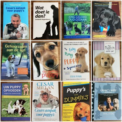 Puppy opvoeding hond boeken 3 halen = 2 betalen!, Boeken, Dieren en Huisdieren, Honden, Ophalen