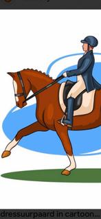 Dressuur instructie aan huis