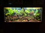 Compleet aquarium Juwel Rio 180 z.g.a.n AANBIEDING, Dieren en Toebehoren, Vissen | Aquaria en Toebehoren, Ophalen, Zo goed als nieuw