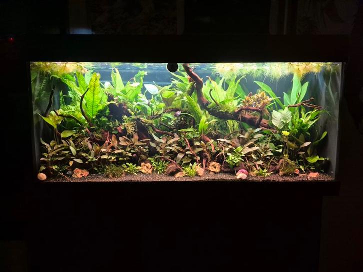 Compleet aquarium Juwel Rio 180 z.g.a.n AANBIEDING, Dieren en Toebehoren, Vissen | Aquaria en Toebehoren, Zo goed als nieuw, Gevuld zoetwateraquarium