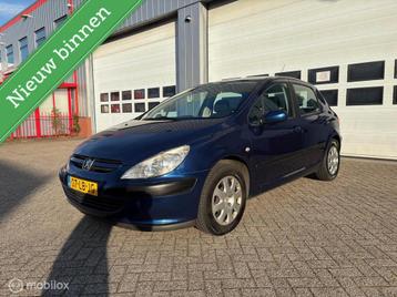 Peugeot 307 1.6-16V XS AC/ELEK RMN/JAAR APK/NAP/1e EIG!/ beschikbaar voor biedingen