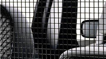 Veiligheidsnet van nylon Volvo V60 (31462794) beschikbaar voor biedingen