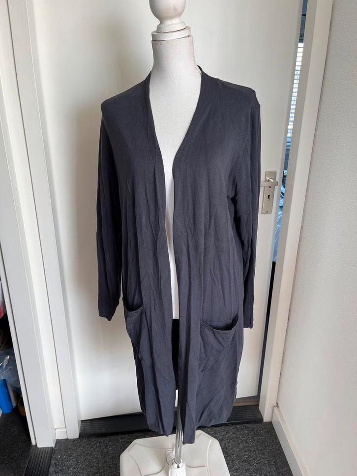 Mooi antraciet grijs lang VEST Expresso mt L 42 fijngebreid, Kleding | Dames, Truien en Vesten, Zo goed als nieuw, Maat 42/44 (L)