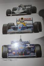 P.010 / Fraai Portret / Litho van Williams F1 Team uit 2001, Nieuw, Formule 1, Verzenden