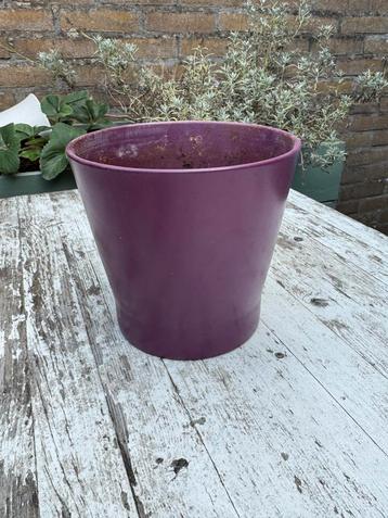 Paarse pot - 16x15cm beschikbaar voor biedingen