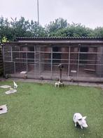 Hok met div mogelijkheden vogels kleine dieren tuinhuis enz, Dieren en Toebehoren, Knaagdieren en Konijnen | Hokken en Kooien