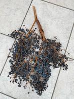 Dadeltak, Huis en Inrichting, Woonaccessoires | Droogbloemen, Ophalen, Zo goed als nieuw