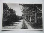 M41 Dwingeloo - Boschweg, Verzamelen, Ansichtkaarten | Nederland, Verzenden, 1940 tot 1960, Ongelopen, Drenthe