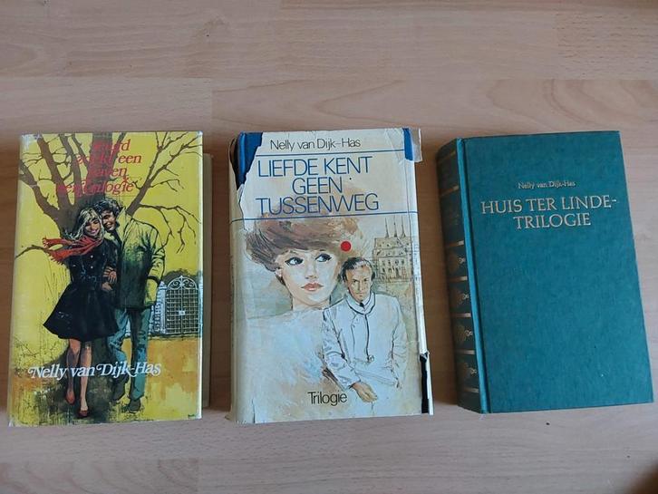 Nelly van Dijk-Has Boeken Collectie, Boeken, Romans, Gelezen, Nederland, Ophalen of Verzenden