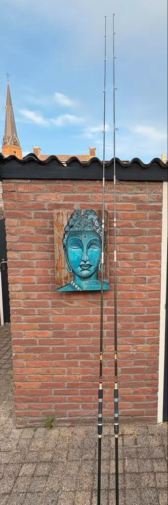 Karperhengels (2x) beschikbaar voor biedingen