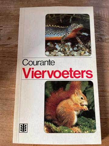 Courante Viervoeters beschikbaar voor biedingen