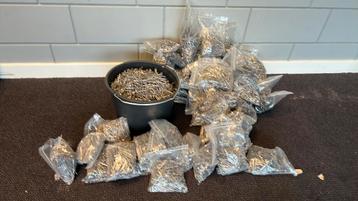 Spijkers, nagels gratis af te halen beschikbaar voor biedingen