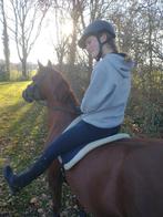 Stalhulp aangeboden (omgeving Zutphen/Eefde)