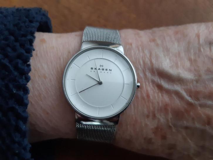 dames Skagen horloge, Sieraden, Tassen en Uiterlijk, Horloges | Dames, Gebruikt, Polshorloge, Overige merken, Staal, Staal, Verzenden
