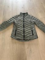 Tussen / herfst jas Wildebeast kaki groen L, Maat 42/44 (L), Ophalen of Verzenden, Wildebeast, Gedragen