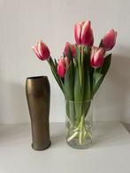 Granaat huls, Verzamelen, Ophalen, Landmacht, Nederland, Hulzen of Bodemvondsten