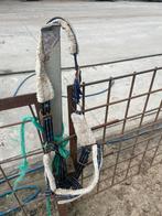 Paardenspullen te koop *alles in prijs verlaagd*, Dieren en Toebehoren, Verzenden, Gebruikt, Overige soorten
