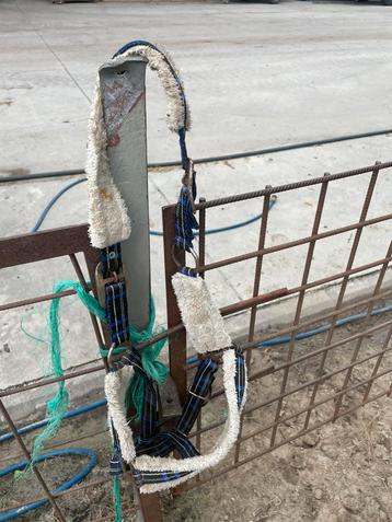 Paardenspullen te koop *alles in prijs verlaagd* beschikbaar voor biedingen