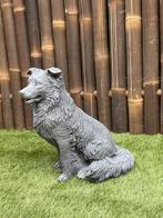 Mooie grote Border Collie nr.2380, Ophalen, Nieuw, Beton, Dierenbeeld