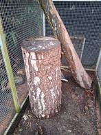 Natuurbroedblok, Papegaai