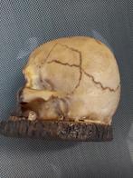 "Skull" messenblok nieuw, Nieuw, Merkloos, Ophalen of Verzenden, Nvt