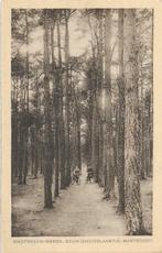 AK Breda, Omstreken Breda - Eeuwigheidslaantje Mastbosch, Verzamelen, Verzenden, 1920 tot 1940, Gelopen, Noord-Brabant