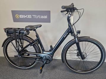 Dutch Id Wave Belt 48cm beschikbaar voor biedingen