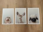 A4 Dieren Posters voor Babykamer - Set van 3, Antiek en Kunst, Kunst | Tekeningen en Foto's, Ophalen