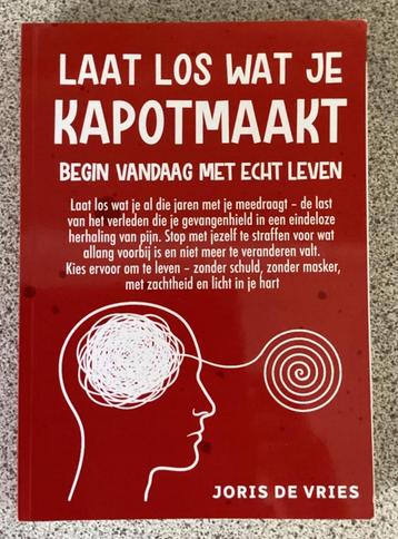 Laat los wat je kapotmaakt - Joris de Vries. beschikbaar voor biedingen