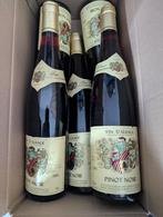 5 x Alsace Pinot Noir, Verzamelen, Wijnen, Frankrijk, Nieuw, Ophalen of Verzenden, Rode wijn