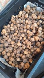 Verse Walnoten uit Eigen Tuin, Ophalen
