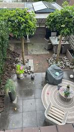 Iemand interesse in tegels/stenen? Gratis!, Tuin en Terras, Ophalen, Gebruikt, 10 m² of meer, Beton