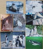 55 Stickers van Wildlands zoo Emmen, Albert Heijn, Ophalen of Verzenden