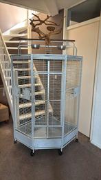Papegaaien kooi, Ophalen of Verzenden, Metaal, Vogelkooi