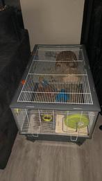 Hamsterkooi met veel extra’s, Ophalen, Kooi, 60 tot 90 cm, Hamster