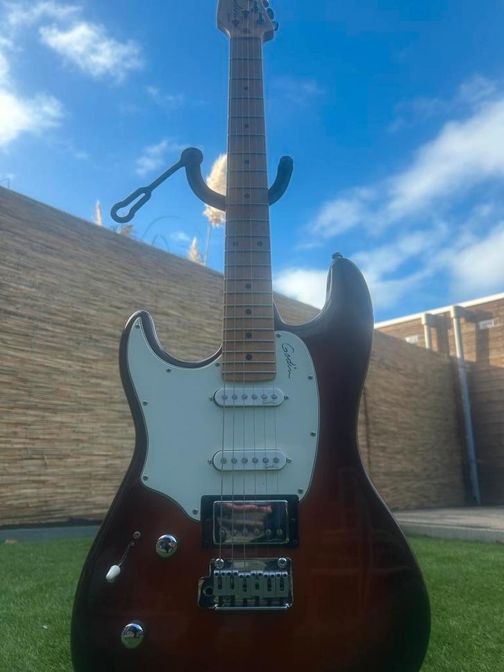 Elec Gitaar linkshandig  Godin Session HG MN,, Muziek en Instrumenten, Snaarinstrumenten | Gitaren | Elektrisch, Zo goed als nieuw