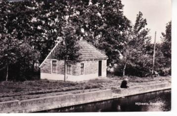 NIJBEETS,-Opsterland. Damhûs.  06-07 beschikbaar voor biedingen
