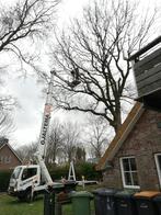 Bomen kappen, snoeien, stronken rooien, schutting plaatsen, Diensten en Vakmensen, Tuinmannen en Stratenmakers