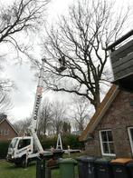 Bomen kappen, snoeien, stronken rooien, schutting plaatsen