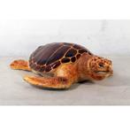 Loggerhead Turtle – Schildpad beeld Lengte 119 cm, Ophalen, Nieuw