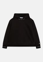 Calvin Klein Jeans INTARSIA LOGO HOODIE - Sweater - Black, Ophalen of Verzenden, Nieuw, Jongen, Trui of Vest