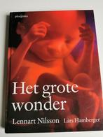 Lars Hamberger - Het grote wonder, Boeken, Zwangerschap en Opvoeding, Zwangerschap en Bevalling, Ophalen of Verzenden, Zo goed als nieuw