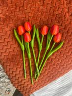 Kunsttulpen Set van 6 - Oranje, Ophalen of Verzenden, Nieuw, Binnen