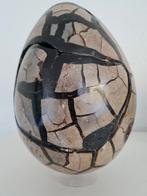 Dragon Egg, Wild Septarie Egg of Drakenei (groot), Ophalen of Verzenden