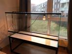 Glazen terrarium baardagamen gebruikt L120xh61,5xb50,5cm, Dieren en Toebehoren, Ophalen, Gebruikt, Terrarium of Paludarium