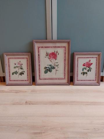 3 schilderijtjes oud roze, afbeelding rozen beschikbaar voor biedingen