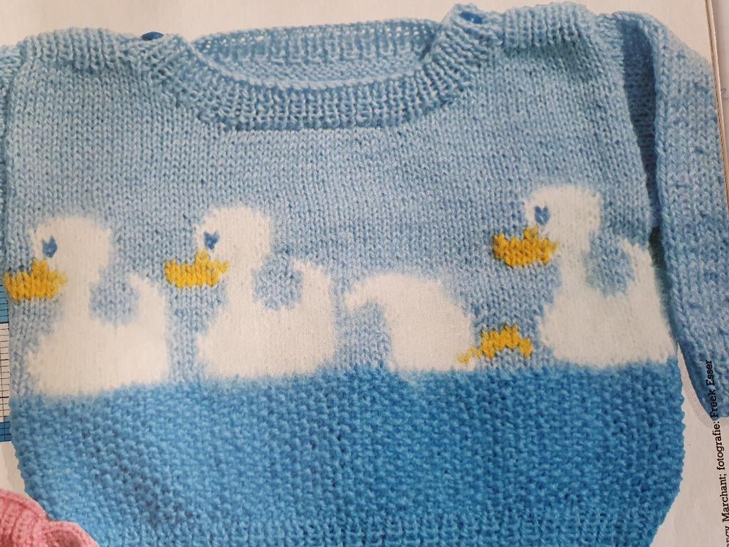 Eendjes trui breipatroon, Hobby en Vrije tijd, Breien en Haken, Ophalen of Verzenden, Zo goed als nieuw, Breien, Patroon of Boek